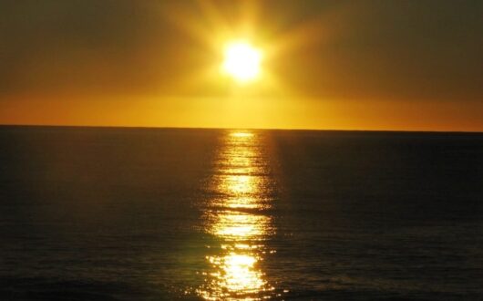 Bons Snapper Pics 001 (81)